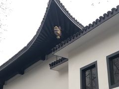 -绍兴饭店知遇楼(环山路店)