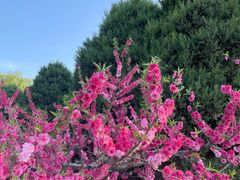 -朝阳公园