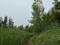 -白鹭湾湿地公园