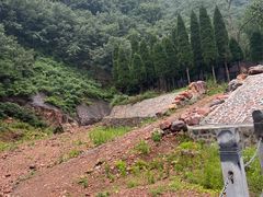 -伏羲山旅游区
