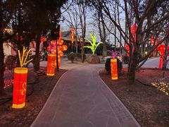 -南宫五洲植物乐园