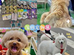 -深圳会展中心