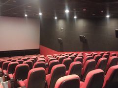 -中影嘉华国际影城(大芬星都里店)