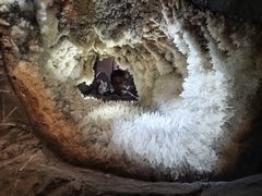 -湖南省地质博物馆