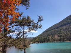 -阿妈土锅鸡