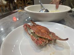 -红灯笼龙凤饭店(宁波老字号店)