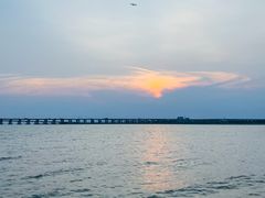 -宝安西湾红树林湿地公园