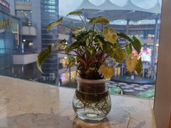 -西贝莜面村(上海百联西郊店)