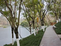 -重庆彩云湖湿地公园