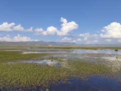 -花湖生态旅游区