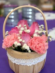 -保丽宝泰母婴护理院·月子中心·产康·中医(常州店)
