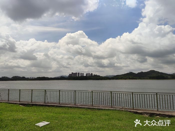 松山湖南湖湾露营营地图片