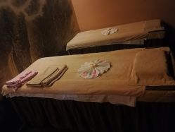 -虎杖传说·还元生活馆