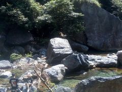 -祁门牯牛降观音堂风景区