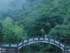 -大余丫山旅游度假区