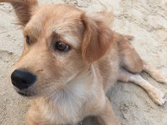 -西涌国际滨海旅游区