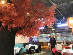 大堂-雲蜀龙阁·金牌水煮鱼(方庄店)