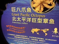 -香港海洋公园