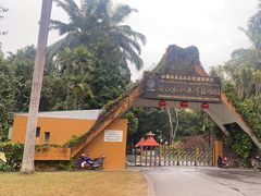 -中国科学院西双版纳热带植物园
