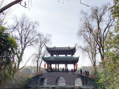 -棠湖公园