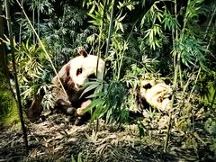 -天津自然博物馆