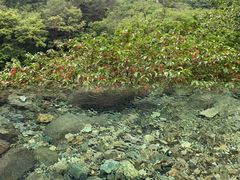 -崂山九水游览区