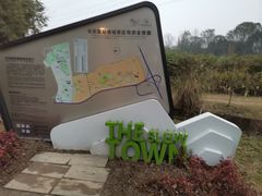 -桤木河湿地公园