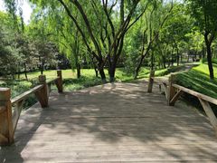 -西安浐灞国家湿地公园