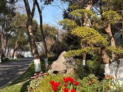 -浙江西子宾馆·牡丹厅