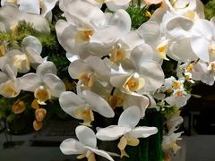 -東舍食唐精品陕菜馆