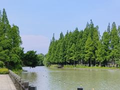 -江心屿景区