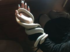 -抱暴龙爬宠·异宠·撸宠撸爬主题馆(大学路店)