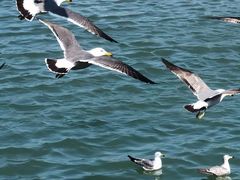 -那香海钻石沙滩浴场