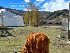 -墨石公园景区
