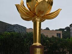 -金莲花广场