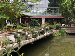 -贵州省植物园