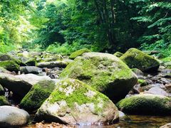 -三块石国家森林公园