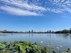 -长春市南湖公园