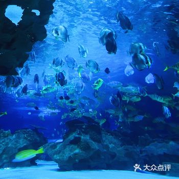在北京三里屯看海｜浪漫水族馆