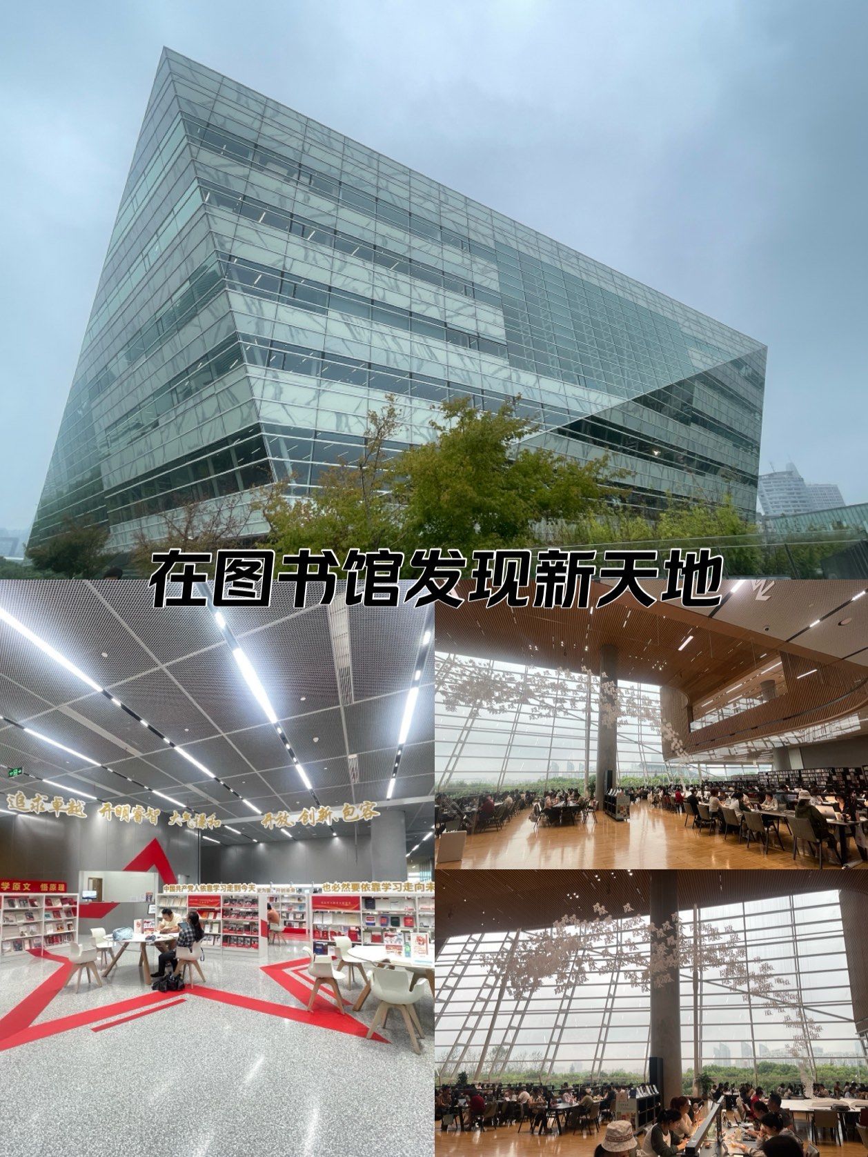 在图书馆发现新天地