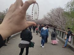 -自然谷恐龙园