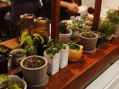 -铃木食堂(帽儿胡同店)