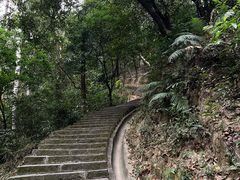 -火炉山森林公园