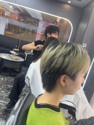 -藤野造型烫染优质