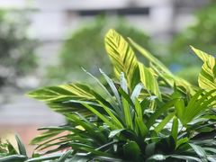 -威克健身游泳(万菱汇店)
