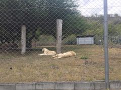 -卡塞拉自然公园