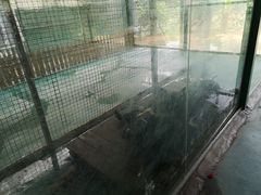 -泉州海丝野生动物世界