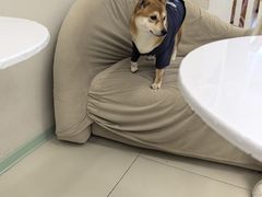 -怪兽屋·羊驼·猫咖·狗咖(俊华广场店)