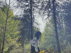 -硗碛藏寨·神木垒景区