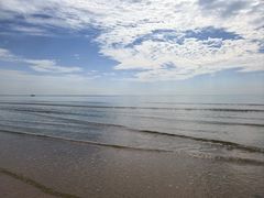 -日照海滨国家森林公园